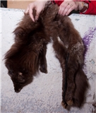 VSMK-Lopper-090513-013