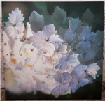 VSMK-Lopper-090513-022