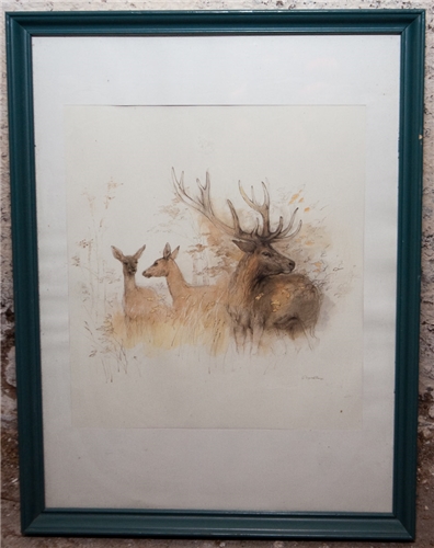 VSMK-Lopper-090513-050